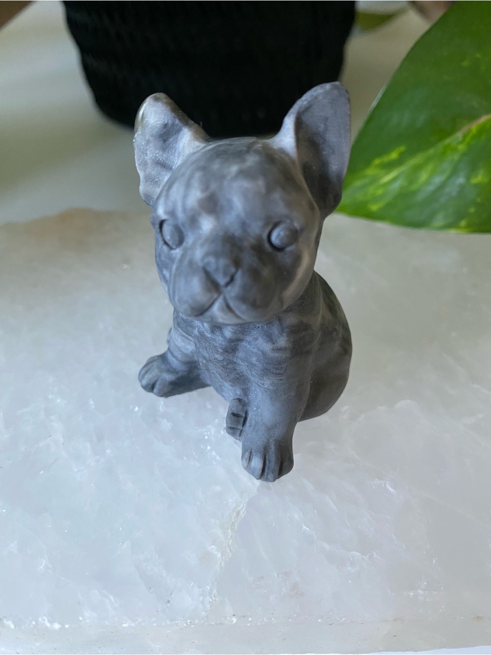 Shellstone Bulldog Figurine - Picture 5 of 7